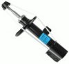 BOGE 30-L21-A Shock Absorber